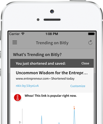 Reader view in the iPhone app